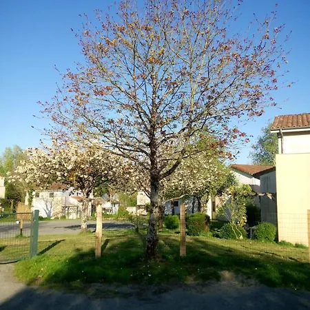 Appartement Les Clés Nature 42 Moutiers-Sous-Chantemerle